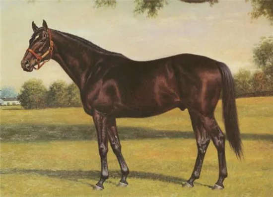 你知道纯血马2岁就开始出赛	、3岁就可以退役当爹了么？