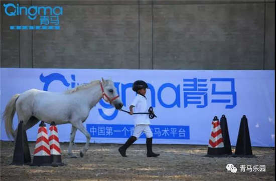 青马乐园强势进驻海外？国外青少年趣味马术展示