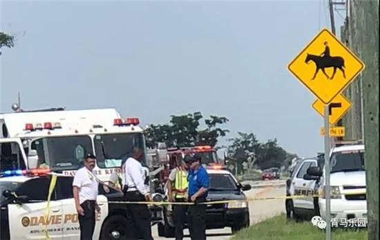 无情车祸致两匹马死亡,两人重伤.jpg
