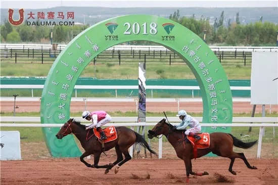 7月21日15	：00大陆赛马网视频直播鄂尔多斯伊泰大漠马业“旅游文化杯”
