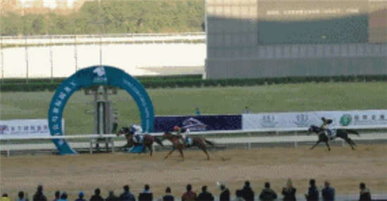 现役冠军赛驹“东方红”登陆玉龙秋季拍卖会