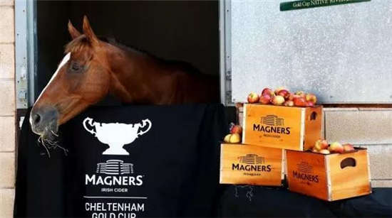 苹果酒品牌马格纳斯成为英国切尔滕纳姆赛马节首个冠名赞助商！