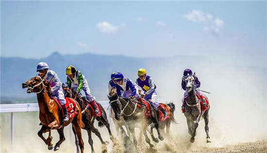 伊犁天马节速度赛马精彩刺激