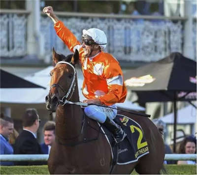 马闻早报丨新西兰赛马“酒吧奇案”鞍褥被拍卖 助力慈善