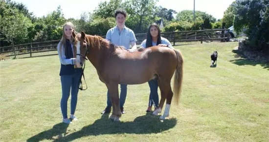 马闻早报丨北爱尔兰大学生设计马匹专用马鞍绑带