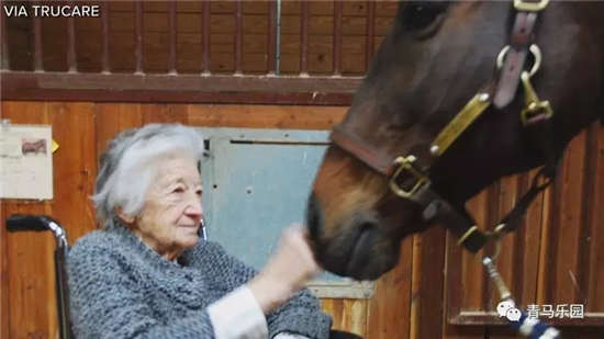 纵使白发如霜
，依旧爱马如初——马儿疗愈97岁失忆老人