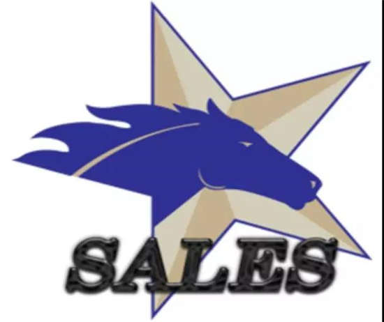 马闻早报丨119匹赛马已被托运至德克萨斯夏季周岁马拍卖会