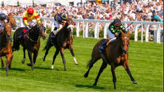 马闻早报丨美国4岁G1一级赛短途赛双冠王退役