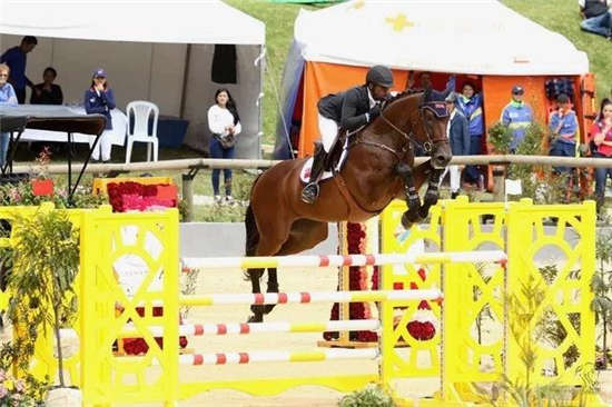 马闻早报丨马匹不进食 骑手退出中美洲和加勒比马术运动会