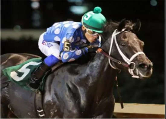 马闻早报丨美国两骑师因交易可卡因被起诉