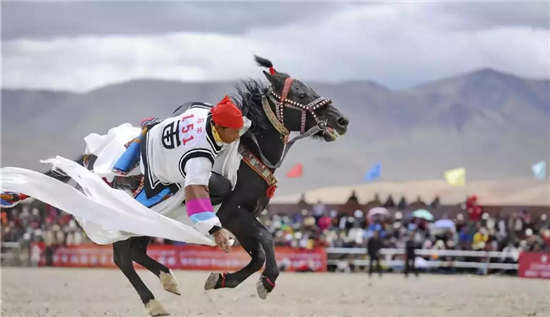 马闻早报丨西藏阿里举行赛马竞技大赛