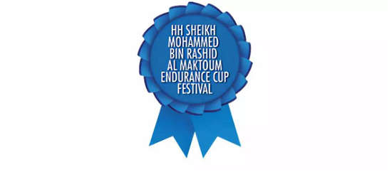 马闻早报丨意大利举行耐力赛马节