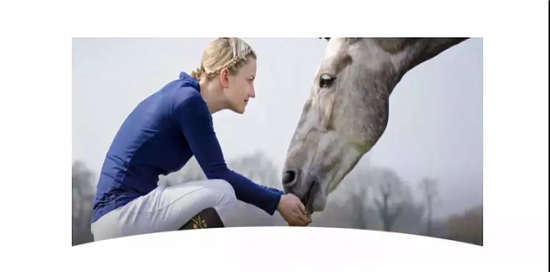 马闻早报丨美国马术安全禁令与临时禁赛沟通政策更新