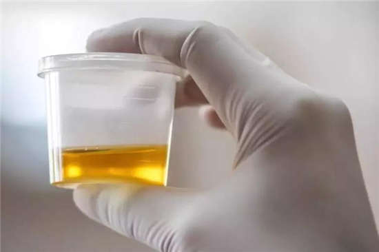 马闻早报丨澳大利亚女骑师因尿检样本造假被禁赛9个月