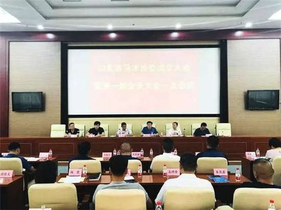山东省马术协会成立：会长赵岩，秘书长都栋