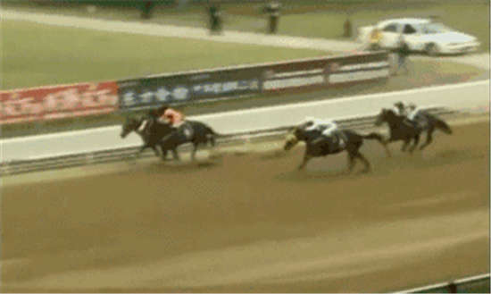 全国赛马冠军“骐骥光明”登陆玉龙秋季拍卖会