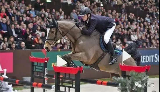 场地障碍18岁战驹Louis 162正式宣告退役