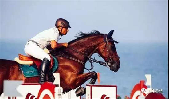 新疆队四名场地障碍骑手荣获运动健将称号