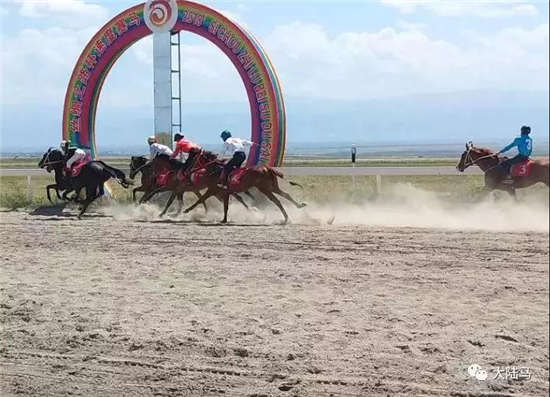 2018年伊犁马常态化赛事（昭苏站）战火重燃	，“乌孙60号”巨大优势夺冠