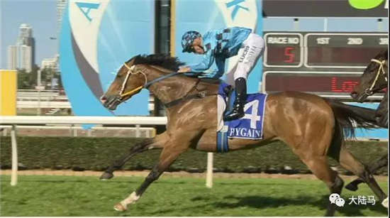 Aquis雅士牧场赛驹一天四冠闪耀澳洲赛场
