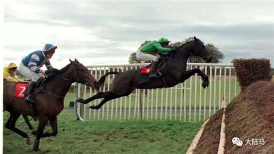 曾获卡斯卡特挑战杯追逐赛冠军赛马死亡