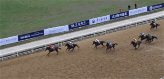 神奇百万2019年豪掷200万继续赞助玉龙国际赛马公开赛