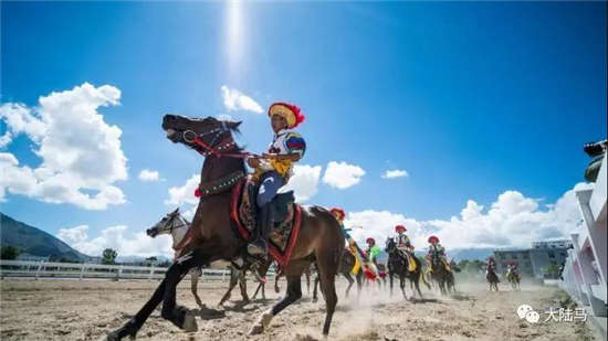 西藏传统马术表演亮相雪顿节