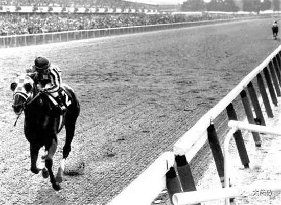 美国传奇马匹“秘书处”马蹄铁以55万人民币成交