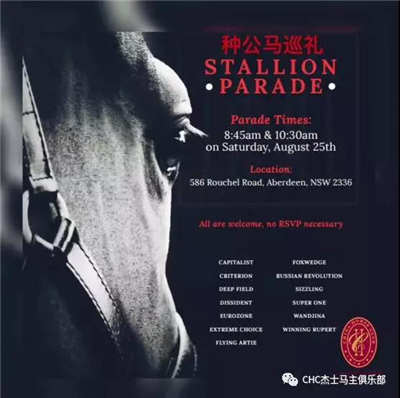 CHC种公马“俄国先锋”领衔众明星赛驹巡礼：强势进入种马市场