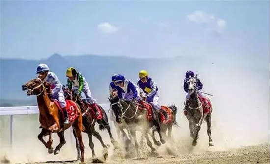 睹汗血宝马 看万马奔腾 新疆马产业策马扬鞭正当时