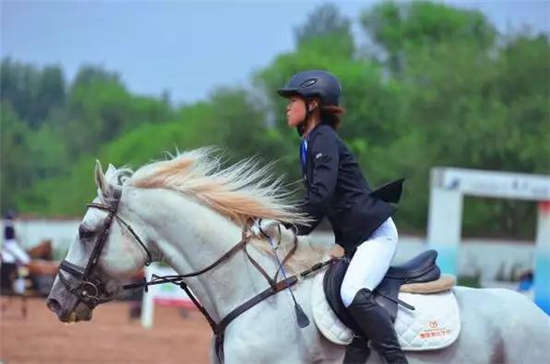 济南市青少年马术队再添新锐 将代表济南出征省运会