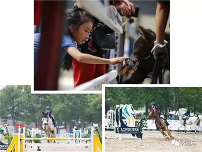 2018“鸟巢之路”周末迎收官战：直通名额	、年终大奖揭晓战​