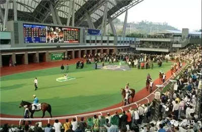 马术运动康体区在贵州荔波落地