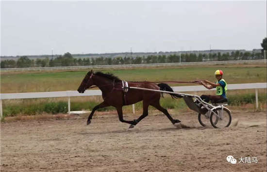 法国速步马邀请赛暨第四届“科兴杯”赛马比赛内蒙古开赛