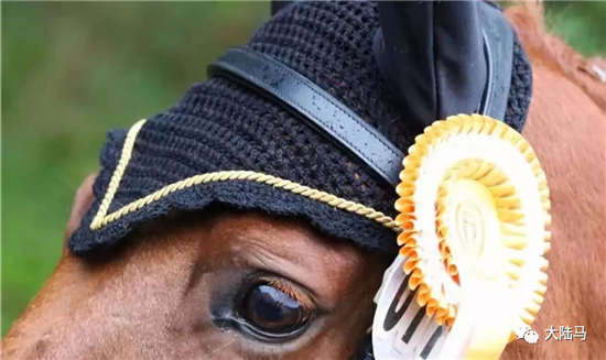 德国拉斯特鲁普国际马联二星级145