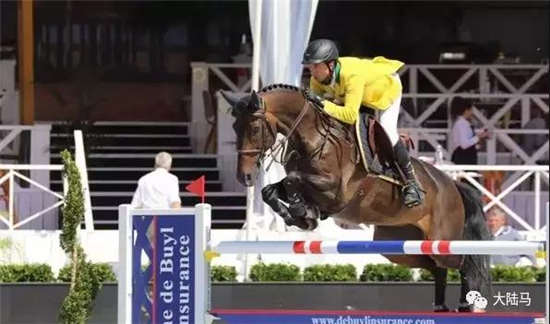 美国特赖恩世界马术运动会巴西代表队人员名单出炉