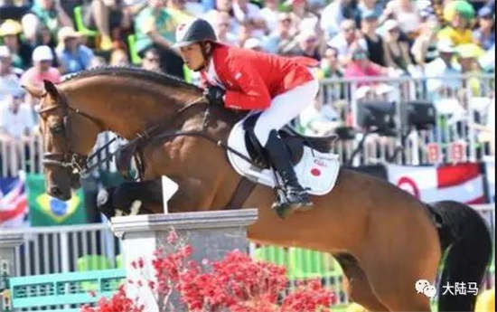 亚运豪夺3金，满额出征世界马术运动会三大奥运项目，日本马术蓄力东京奥运