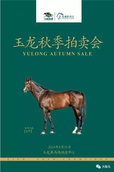 “买一赠一”的怀孕繁育母马？国际一级赛冠军种公马�？——玉龙秋季拍卖会放大招