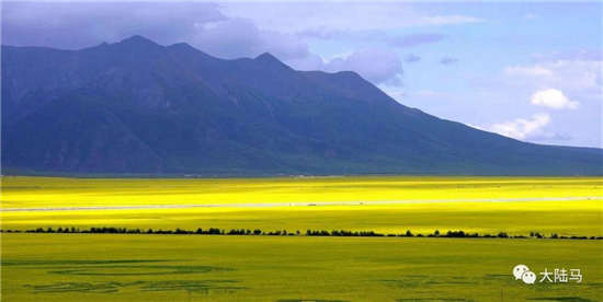 青海首届马术障碍赛项目培训班在西沃瑞马术俱乐部结业