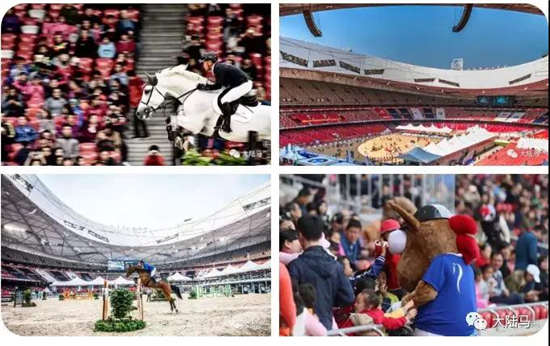 听说10月13、14日最适合去鸟巢	，马术PLUS彭于晏会碰撞出怎样的火花	？