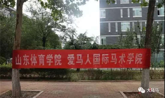 山东体育学院爱马人国际马术学院喜迎第一批马术新生报到