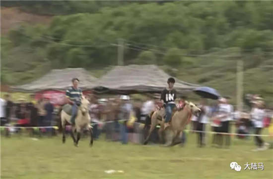 宁蒗泸沽湖摩梭人转山节系列活动“策马飞扬”体育竞技项目圆满落幕