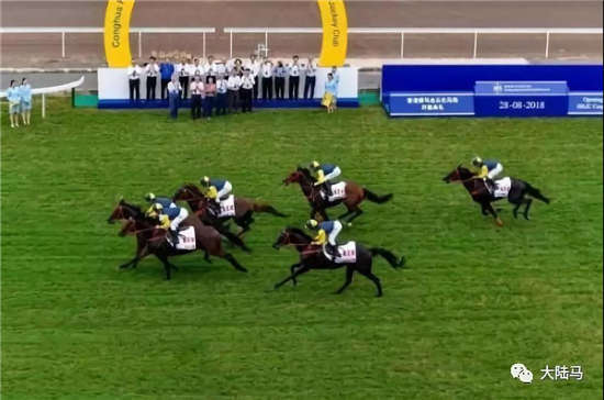 香港赛马跨境运输常态化，全程实现电子监控