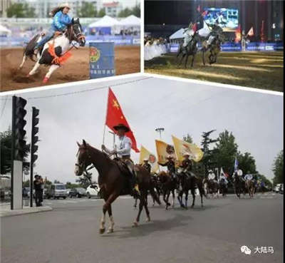 第一届衡水湖国际马术文化节9月27日