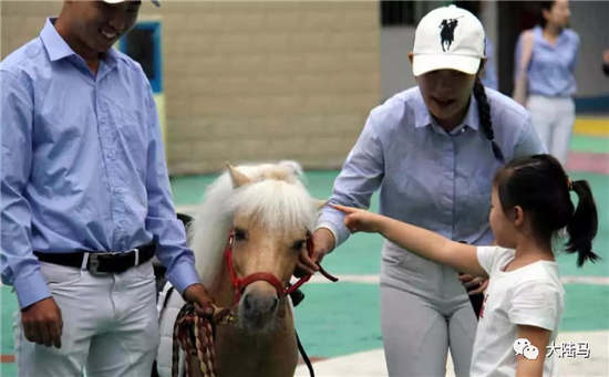 安徽芜湖：马儿来幼儿园与小朋友见面，感受到孩子与动物纯真的爱