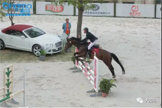 山东省第二十四届运动会马术比赛105cm障碍赛落幕 青岛骑手包揽全部奖牌