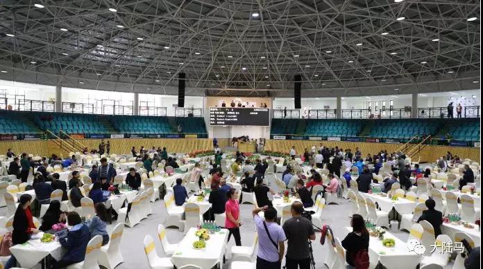 玉龙秋季拍卖会75万标王“冠仪战神”拍卖过程全记录