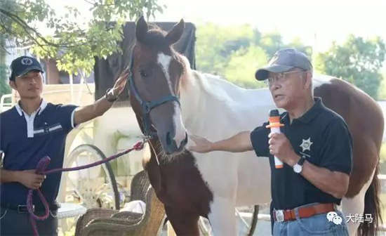 安徽广德青少年马术公益课第一期开课
