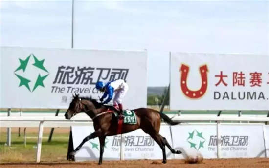 2018伊泰大漠马业绿色能源杯圆满收官：“内蒙佳”成年度最佳赛马