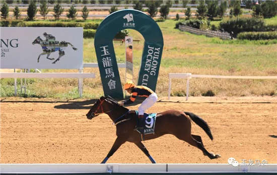 洪剑涛“辟邪剑”出鞘夺冠！2018玉龙国际赛马公开赛第18赛事日战报